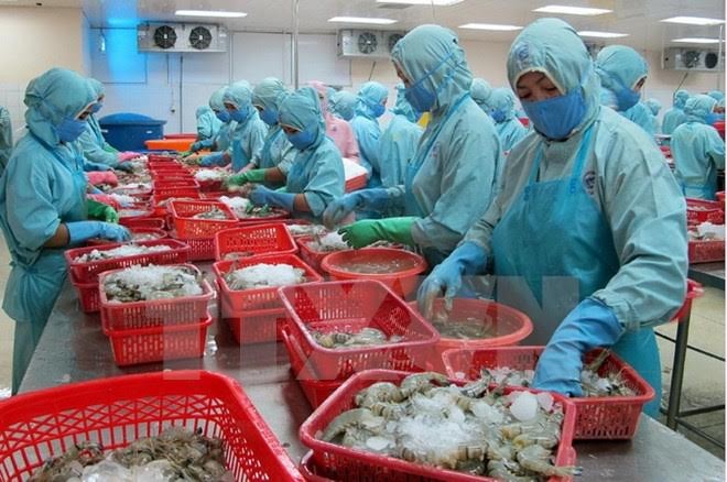 Vietnamese aquatic products strive to regain confidence in Europe - ảnh 1